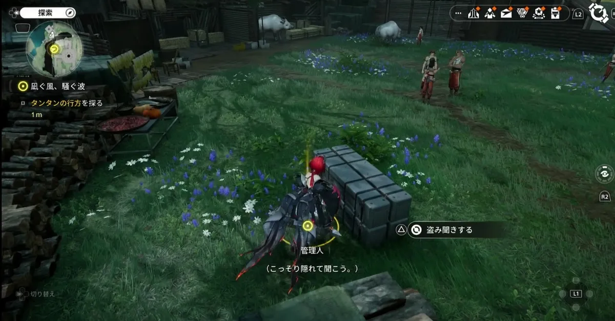 タンタンの情報3