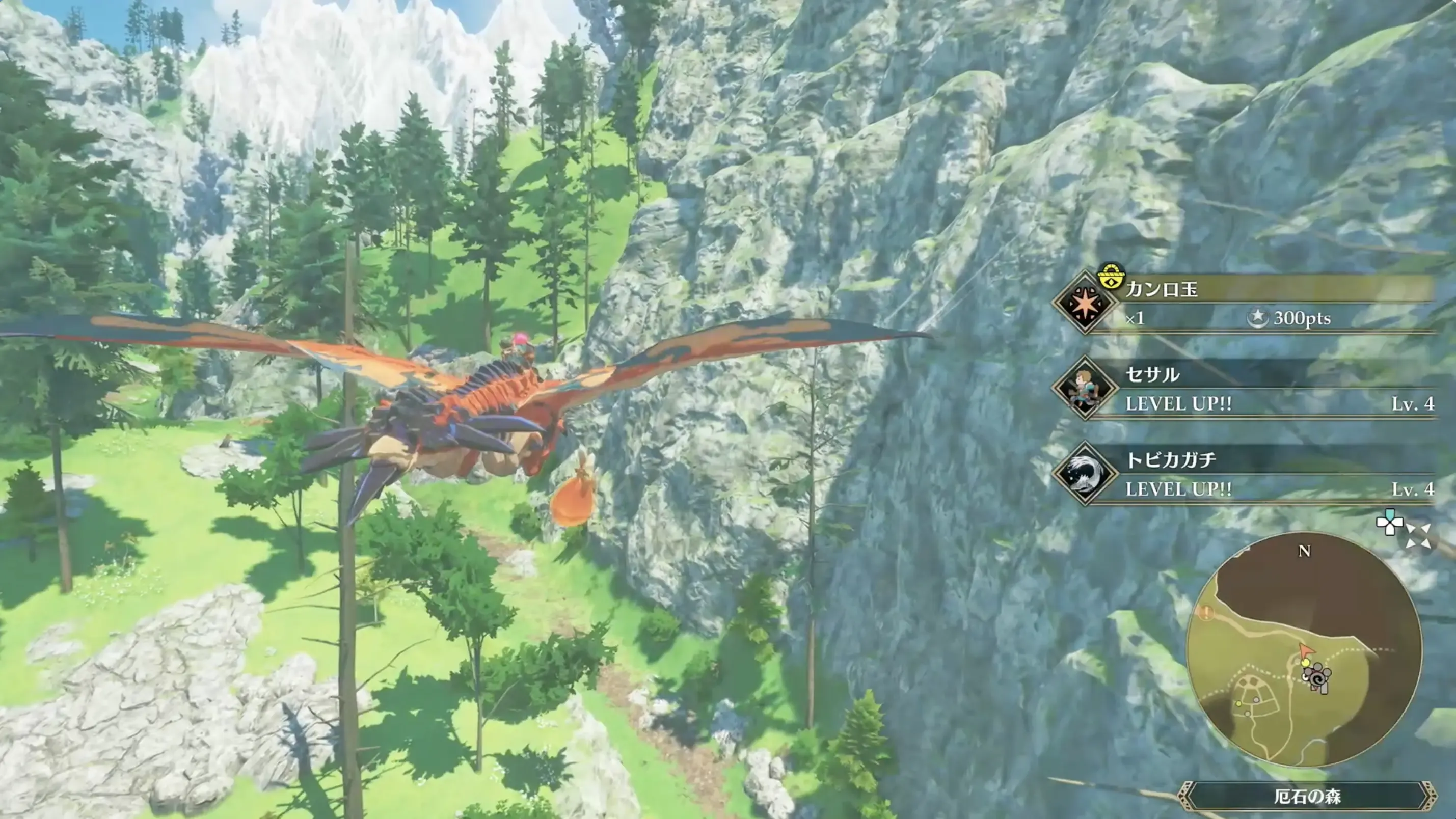 「厄石の森」に向かう