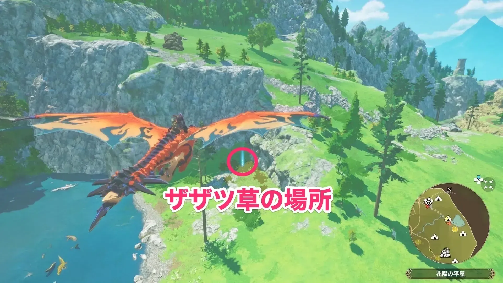 ザザツ草の実際の場所