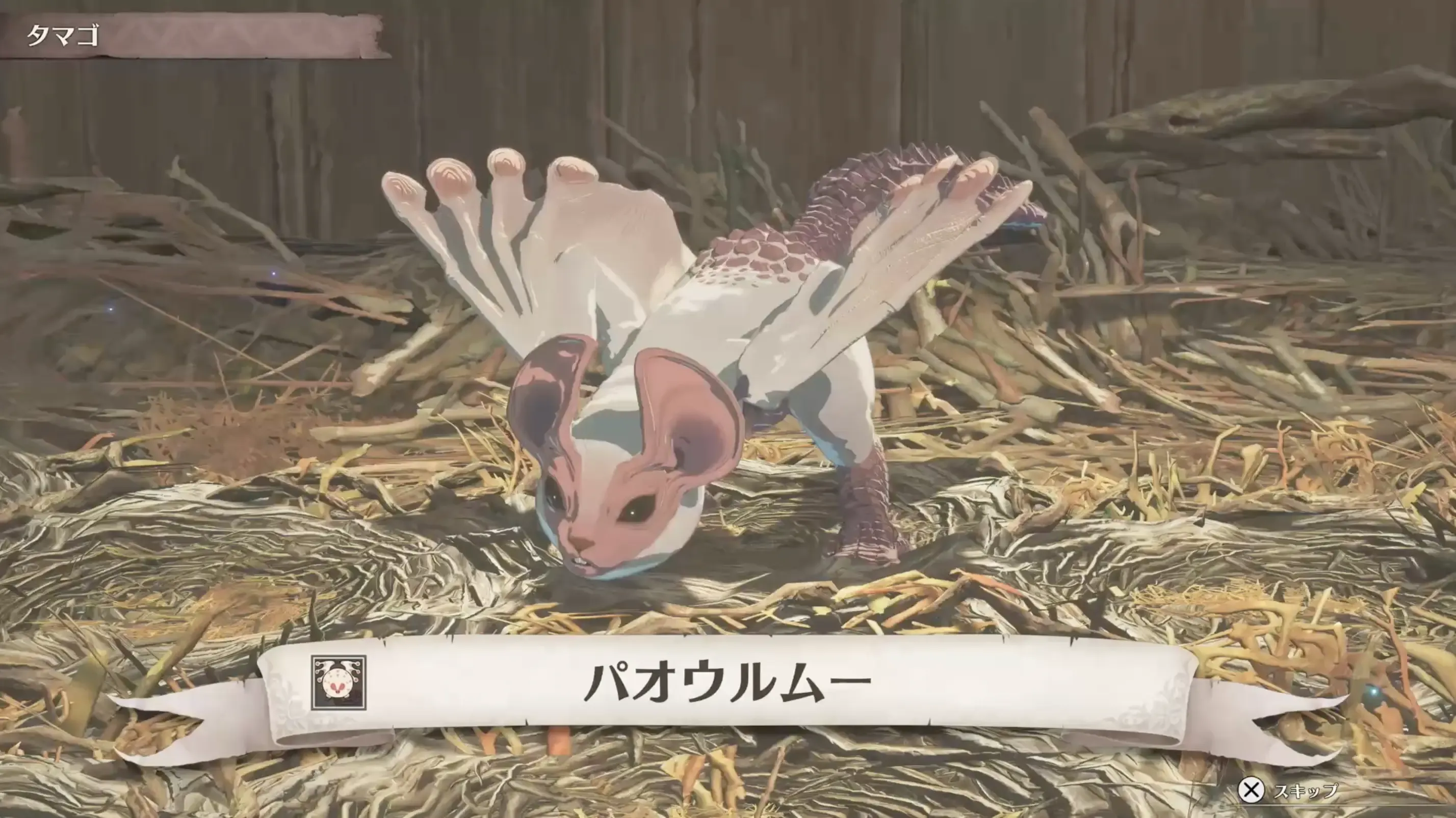 連続戦闘に勝利して「パオウルムー」を孵す