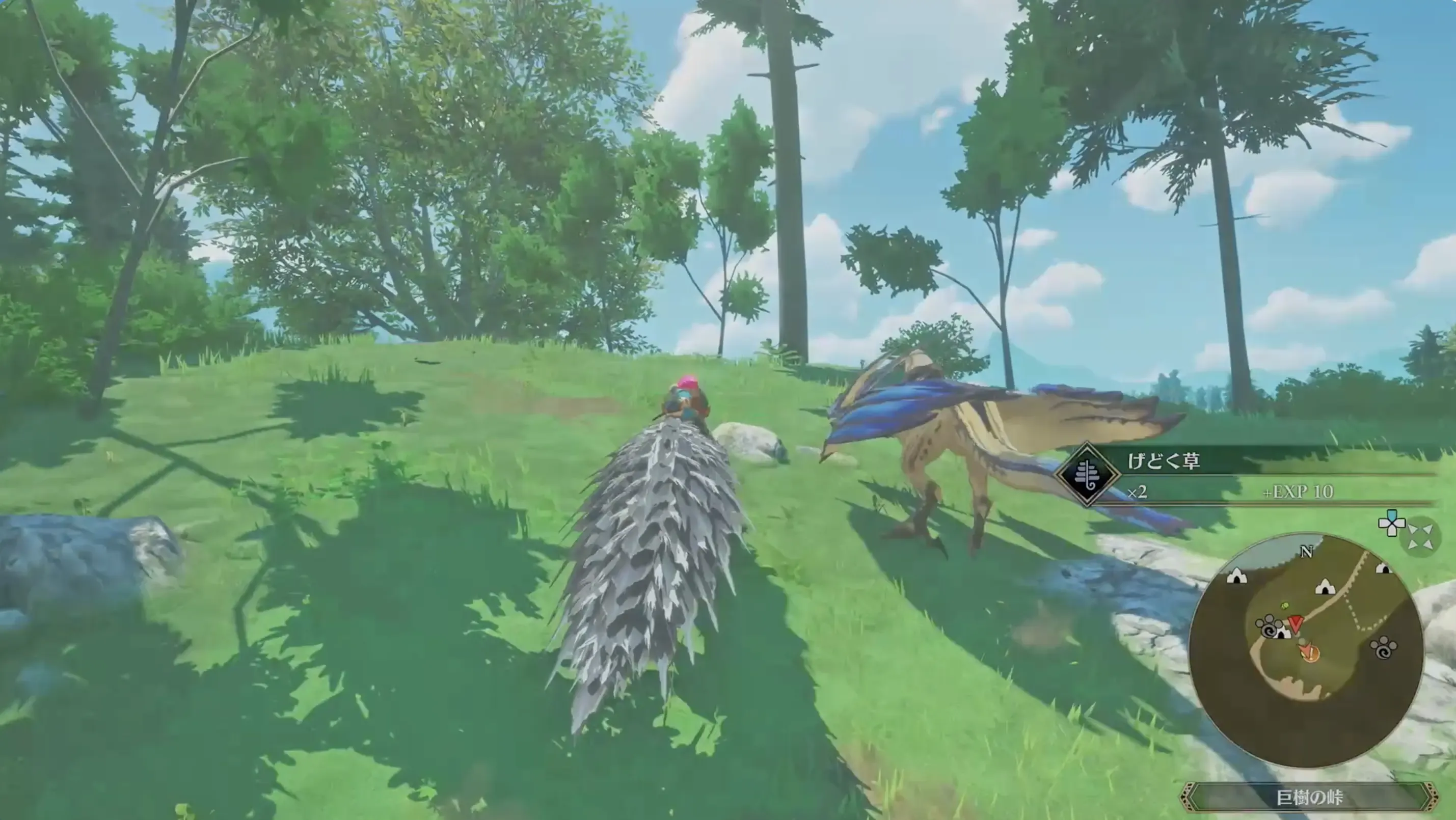 高台から様子を伺う