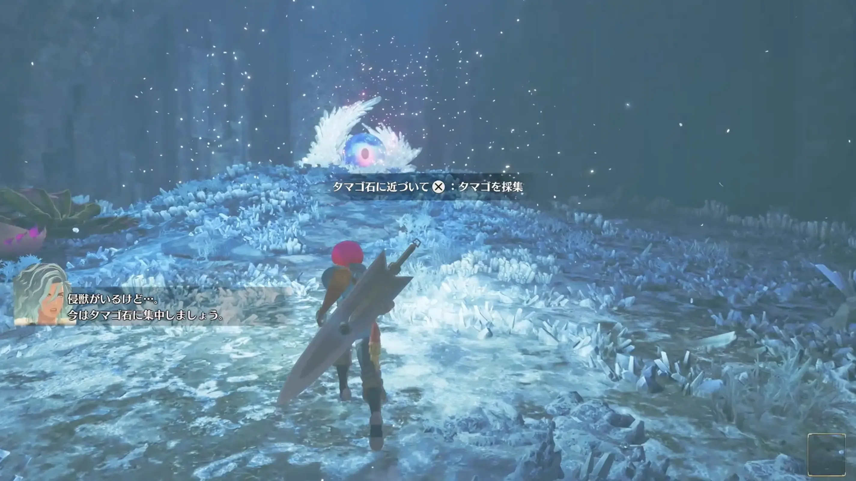 巣に入り、危惧種のタマゴを保護する