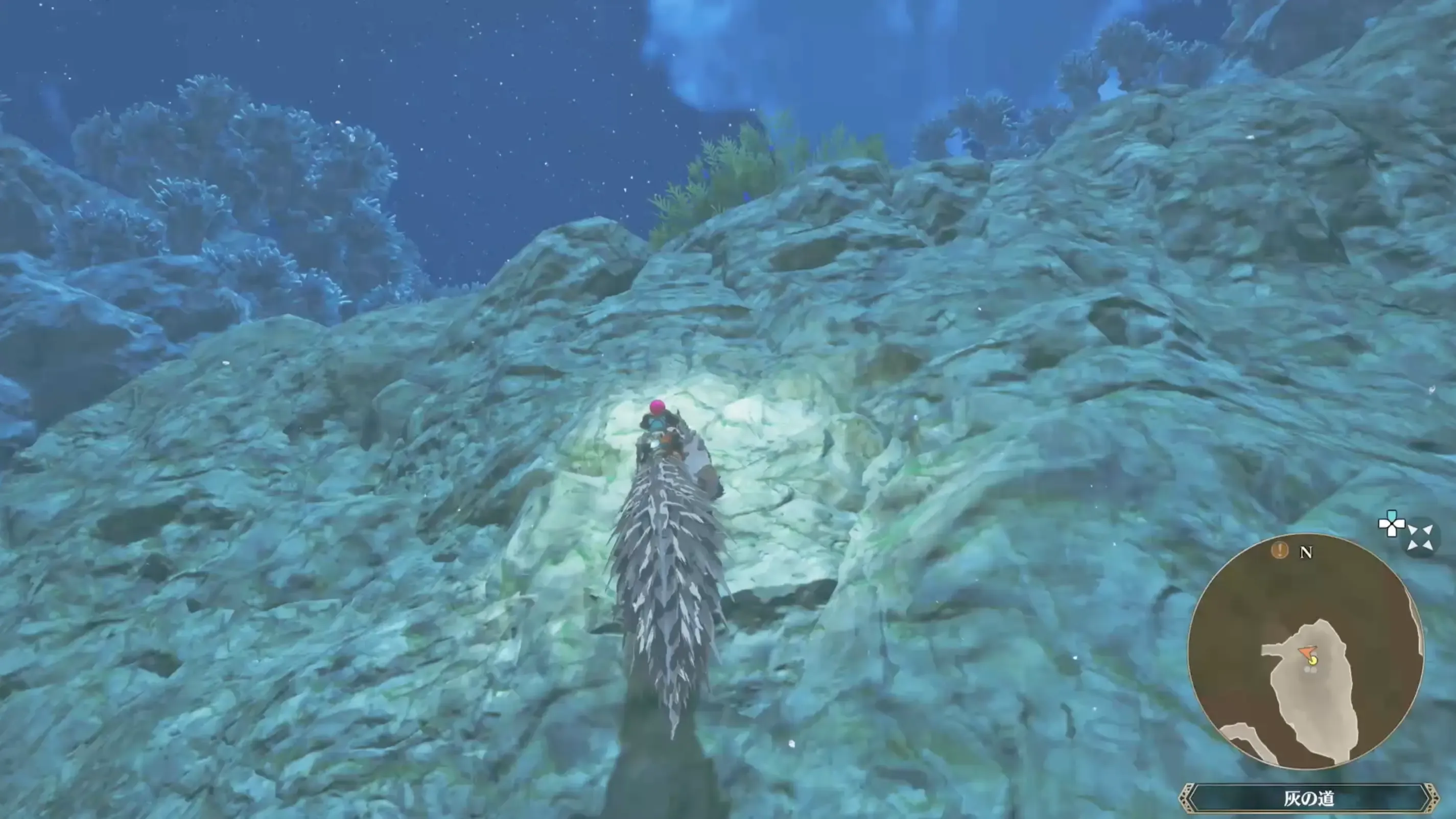 竜人の関を越える