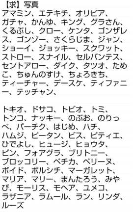 コメント画像