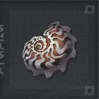 スパイラルコイル画像