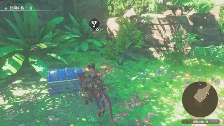 宝箱42の見た目