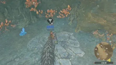 宝箱54の見た目