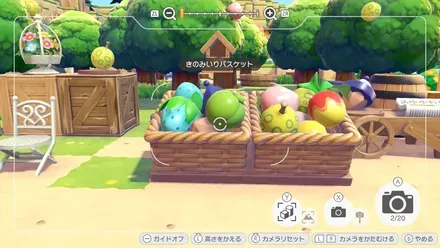 きのみいりバスケット