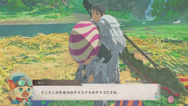 通常の巣から絶滅危惧種の卵が出現