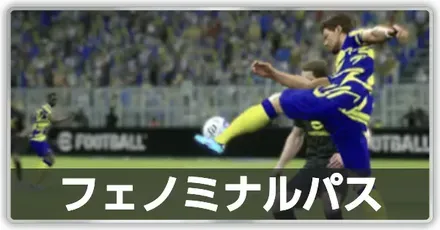 フェノミナルパス