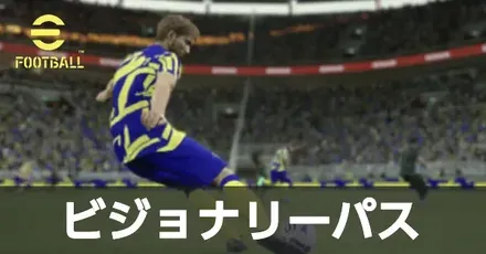 ビジョナリーパスサムネ