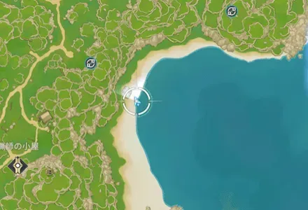 人魚の涙_入手場所