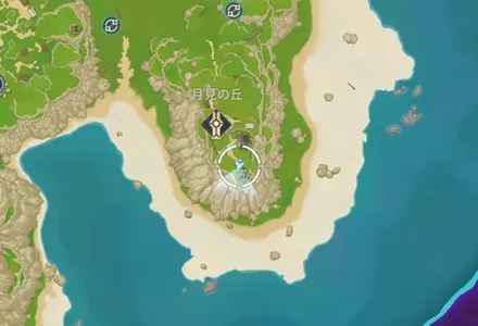 月見草_入手場所