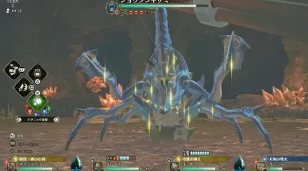 ショウグンギザミ