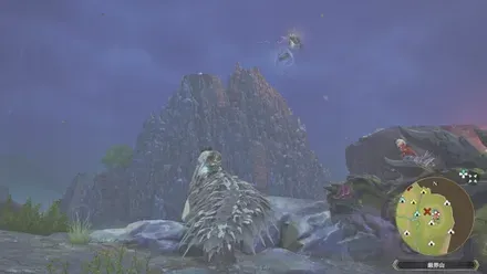 ナルハタタヒメの出現場所見た目1