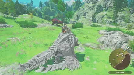 ゲリョス亜種の出現場所見た目1