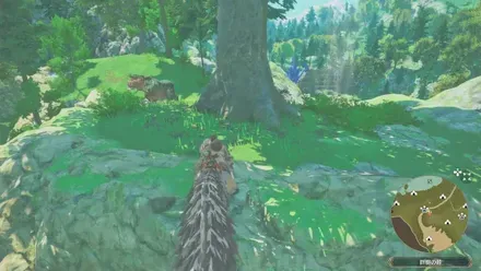 チャタカブラの出現場所見た目1