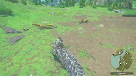 ルドロスの出現場所見た目1