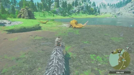 ロアルドロスの出現場所見た目1