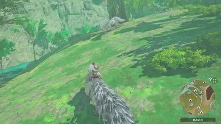 トビカガチの出現場所見た目1