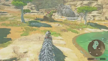 エスピナスの出現場所見た目1