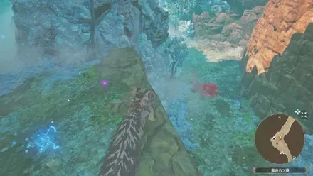 ロアルドロス亜種の出現場所見た目2