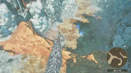 大雷光虫の出現場所見た目1