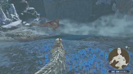 メル・ゼナの出現場所見た目1