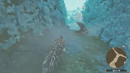 イソネミクニ亜種の出現場所見た目1