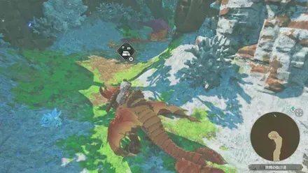 イソネミクニの出現場所見た目1