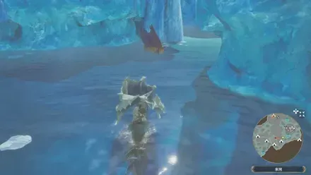 イソネミクニの出現場所見た目2