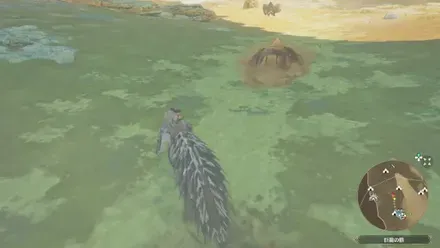 ハプルボッカの出現場所見た目1