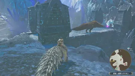 イビルジョーの出現場所見た目2