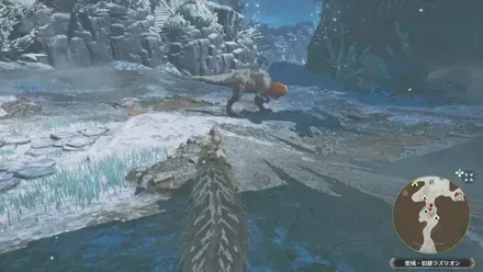 アンジャナフ亜種の出現場所見た目1