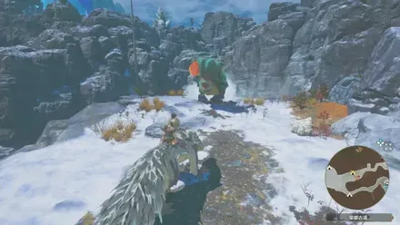 ボルボロス亜種の出現場所見た目1