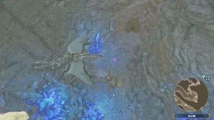 ヤツカダキの出現場所見た目1