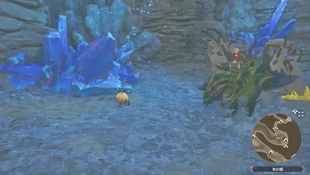 ツケヒバキの出現場所見た目1