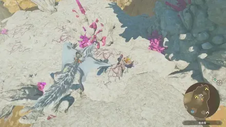 ネルスキュラ亜種の出現場所見た目1