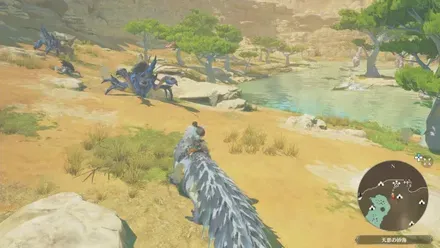 ショウグンギザミの出現場所見た目1