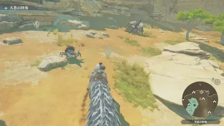 ガミザミの出現場所見た目1