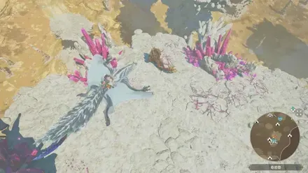 アジャラカンの出現場所見た目1