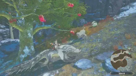 ブランゴの出現場所見た目1