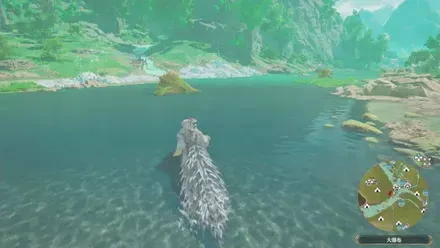 ヨツミワドウの出現場所見た目1