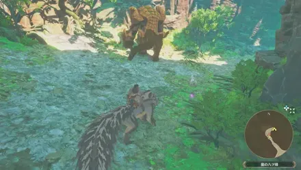 ガランゴルムの出現場所見た目1