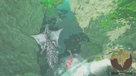 ロアルドロス亜種の出現場所見た目1