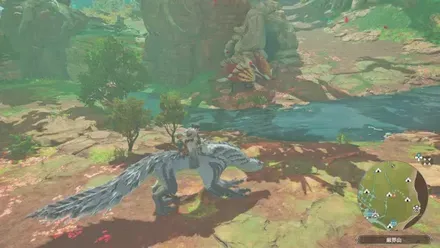 アケノシルムの出現場所見た目1