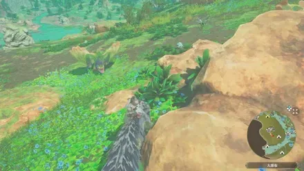 プケプケの出現場所見た目1