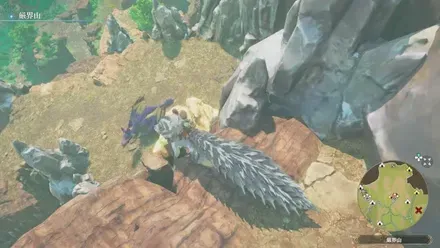 イャンガルルガの出現場所見た目1