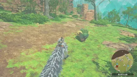 アオアシラの出現場所見た目1