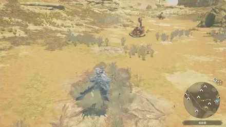 ビシュテンゴ亜種の出現場所見た目1